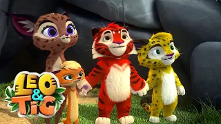 Leo and Tig 🦁 Off with the Feathered Ones 🐯 Funny Family Good Animated Cartoon for Kids