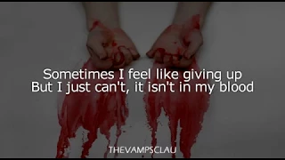 Shawn Mendes - In My Blood (Lyrics| Lyric Video)