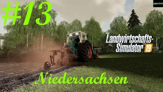 #LS19 | Niedersachsen Anno dazumal | #LP14 [#Season] Viele Steine in der Wiese!