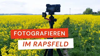 Fotografieren im Rapsfeld | 4 Tipps für schöne Fotos | Fotografieren lernen | #herfurthfoto #raps