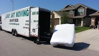 Moving Furniture in The Summer Heat with Army Ant Moving