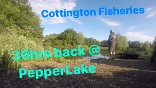 CARP FISHING - Cottington Fisheries - 36hrs Back @ Pepper Lake