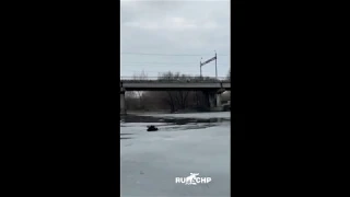 В Сызрани ПРОХОЖИЙ СПАС собаку которая провалилась под лёд. Обвязался верёвкой и полeз спасать