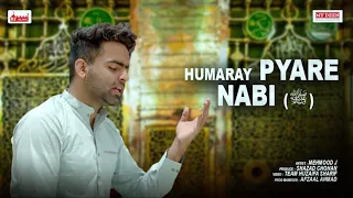 Humaray Pyare Nabi ﷺ | Mehmood J | (Full Naat)  | Mehmood J | New Naat 2022 | New version No Music