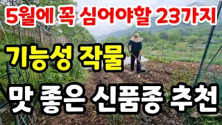 5월 텃밭에 심을 고급 작물 23가지 추천 인기 많은 모종 씨앗 과일 채소  석어짓기#주말농장#도시농부 #정원#시골#농사#친환경#다이어트#힐링#귀농#귀촌#전원생활#여행#자연