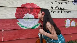 A Dream is a Wish Your Heart Makes - Ilene Woods Violin Cover