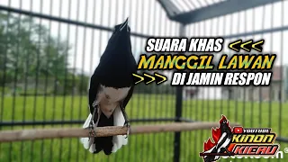 ⛔ Suara Kacer Gacor Memanggil Lawan 💯 Auto LANGSUNG Ngerespon‼️