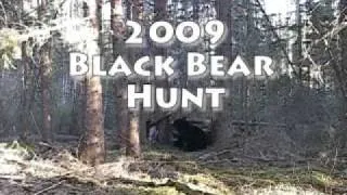2009 Alberta Black Bear Hunt - Wizard lake Outfitting