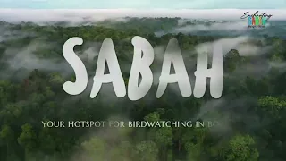 Birding Sabah | A Birding Treasure Trove In Southeast Asia | Malaysia