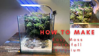 How to make easy moss waterfall terrarium