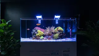 Nano akwarium morskie (bez odpieniacza białek) OBALAM MITY AKWARYSTYCZNE!
