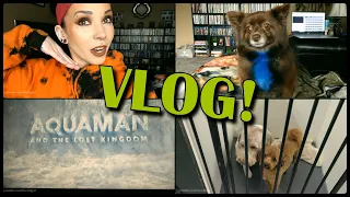 VLOG: February 24th-March 7th | Animal Shelter, Brow Tinting, Avril's Sick, Movies, & MORE!