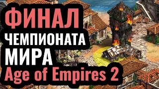 ТОП-1 ИГРОК vs ТОП-2 ИГРОК: TheViper и Hera в финале турнира за $17,300 по Age of Empires 2