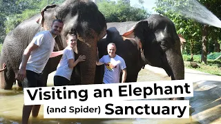 We spent the day at an ELEPHANT sanctuary!