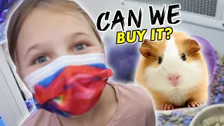 Shopping For A Guinea Pig For Perri | The LeRoys