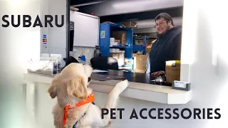 Subaru’s Newest Line of Pet Accessories!