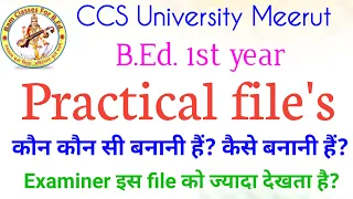 B.Ed.1st year me kaoun kaoun si File's banani hoti hai practical me CCS University Meerut।