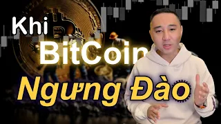 Tất Cả Lịch Trình Halving Của BitCoin | Những Điều Cần Lưu Ý.