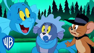 Tom y Jerry en Español | El nuevo amigo de Tom | WB Kids