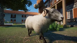 Planet Zoo (PC)(English) #172 6 Minutes of Hill Radnor sheep (Barnyard Animal Pack DLC)