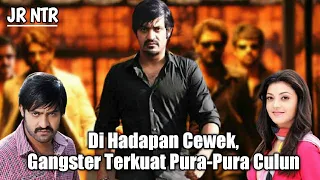 Ketika Gangster Terkuat Nyamar Jadi Culun || Alur Cerita Film India Jr NTR