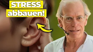 Entzündungen heilen mit dem Vagusprinzip | Geniale Vagus nerv Übungen (wirkt sofort)