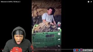 Welcome To CARTEL TikTok! The Mexican drug Cartel shows there Lifestyle on TikTok.. (REACTION)