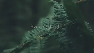 Svarog Light  - Снами древнього лісу (2023)