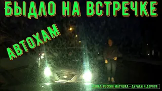 Dangerous driving and conflicts on the road #177! Instant Karma! Compilation on dashcam!