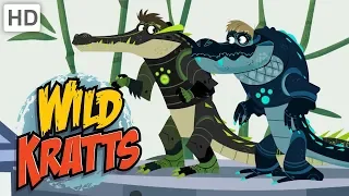 Wild Kratts 🐊 Alligators vs. Crocodiles! | Kids Videos