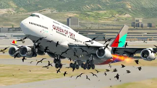 Massive Bird Strike Attack Forces B747 Pilot To Emergency Landing | X-Plane 11