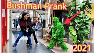 Funny Reactions To Bushman Prank 2021