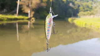 The Best CREEK & RIVER Lure for REACTION STRIKES! || Trophy Trout Fishing