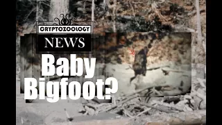 A Reader Asks: Is There a Baby on the Bigfoot from the Patterson-Gimlin Film?