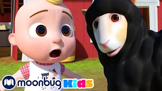 Baa Baa Black Sheep - Sing Along | @CoComelon | Moonbug Literacy