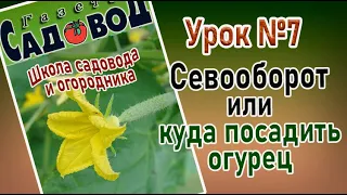 СЕВООБОРОТ или куда посадить огурец  Урок №7