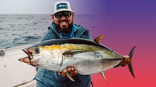 Using Nomad flying fish to catch yellowfin tunas.
