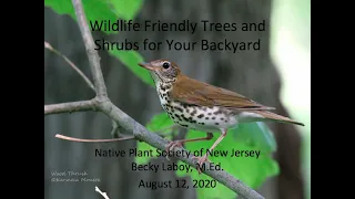 Wildlife Friendly Trees and Shrubs for Your Backyard