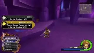Kingdom Hearts HD 2.5 Remix - How To Level Up Master Form Quickly