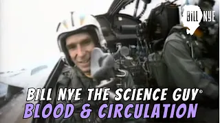 Bill Nye The Science Guy on Blood & Circulation