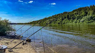 РЫБАЛКА С НОЧЕВКОЙ НА ОКЕ. ЛОВЛЯ НА КУРДЮЧНОЕ САЛО. ЗАКИДУШКИ НА ЛЕЩА. НАШЁЛ ФАНТАСТИЧЕСКОЕ МЕСТО!