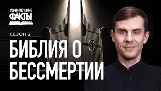 Смерть и бессмертие. Кто кроме Бога обладает бессмертием? | Удивительные факты 2 сезон (8/31)