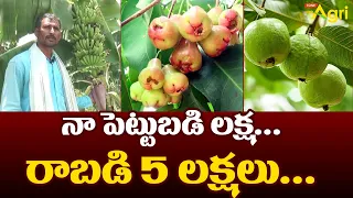 Organic Fruits and Vegetable Farming in FARM HOUSE | నా పెట్టుబడి లక్ష.. రాబడి 5 లక్షలు..! Tone Agri
