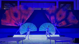 LED Peacock Tails Performance (4 dancers) ✨🦚✨ ILLIZIUM events Dubai