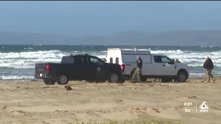 Boogie boarder killed by shark in water off Morro Bay