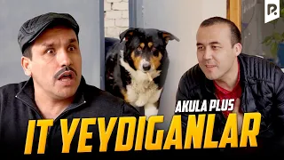 Akula Plus - It yeydiganlar (hajviy ko'rsatuv)