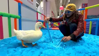 I took my duck to Slime