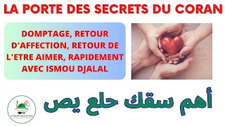 SECRET PUISSANT DE DOMPTAGE RETOUR D’AFFECTION RETOUR DE L’ÊTRE AIMÉ RAPIDEMENT AVEC ISMOU DJALAL