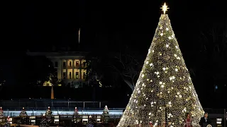 DC's 43rd Annual Festival of Lights