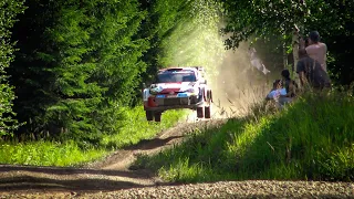 WRC Rally Finland 2023 | FLAT OUT, PURE SOUND & BIG JUMPS